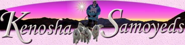WELCOME TO KENOSHA KENNELS