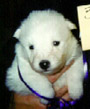 3 weeks old