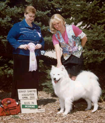 vail_show.jpg (62629 bytes)