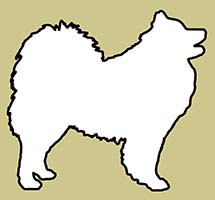 SAMOYED.ORG